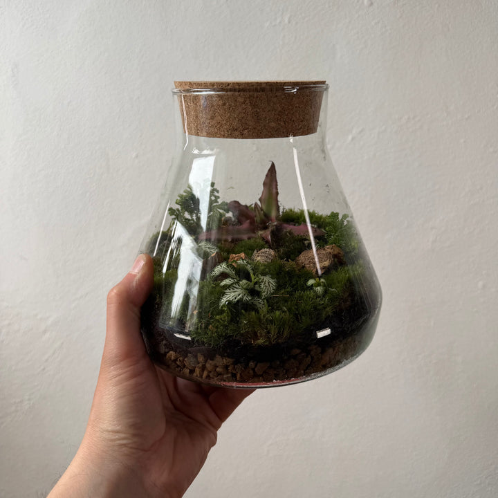 Plant.Studio 'Moonlanding' Terrarium