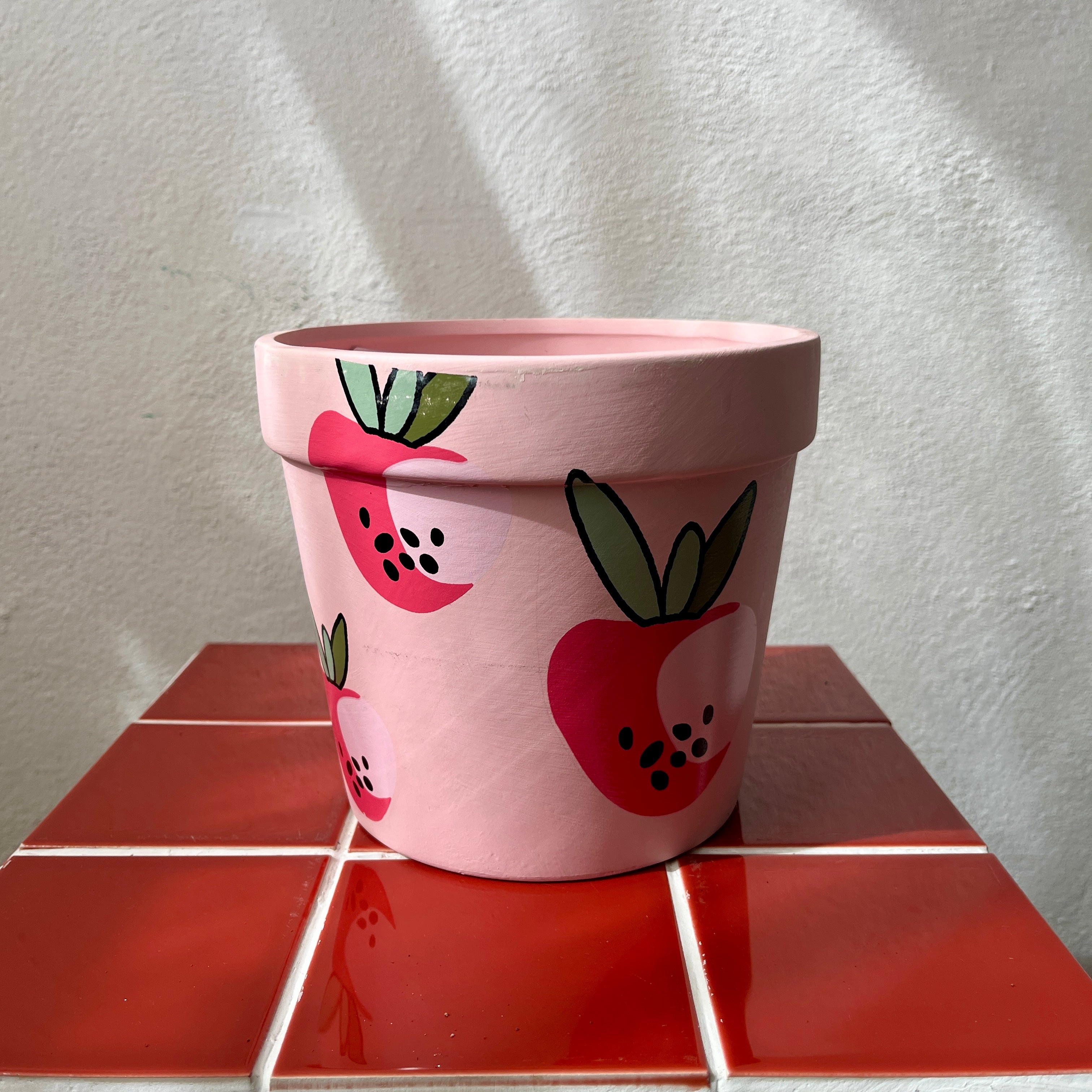 Plant Pots