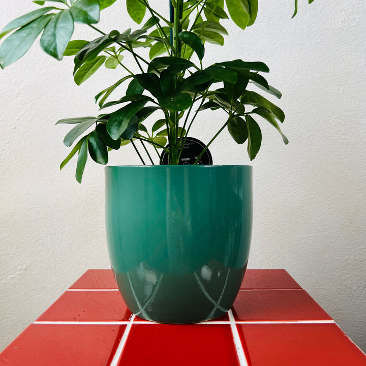 Green Glazed Ceramic Pot