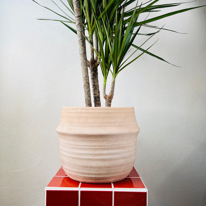 Lisboa Cream Pot with Edge