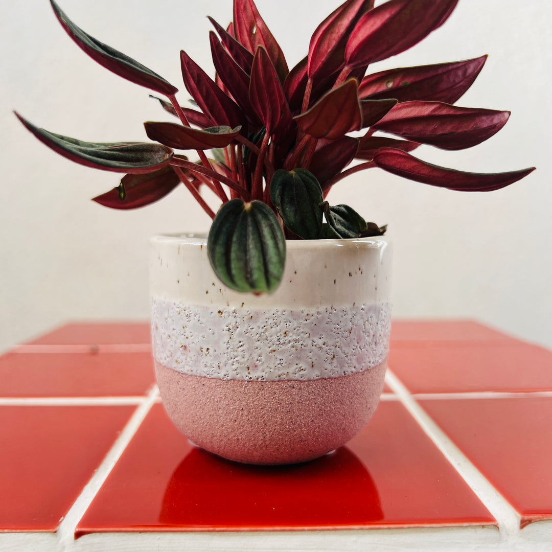 Bordeaux Ceramic Stoneware Pot