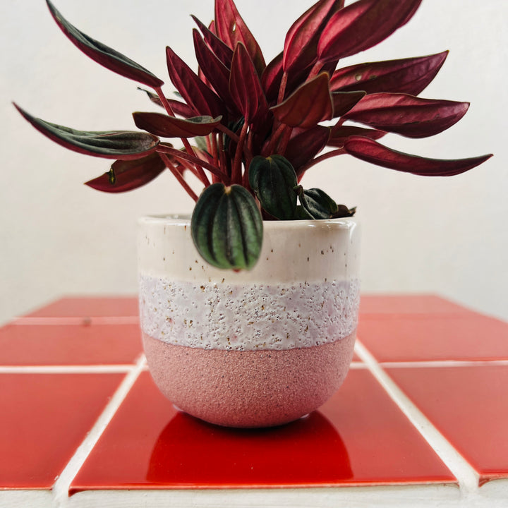 Bordeaux Ceramic Stoneware Pot