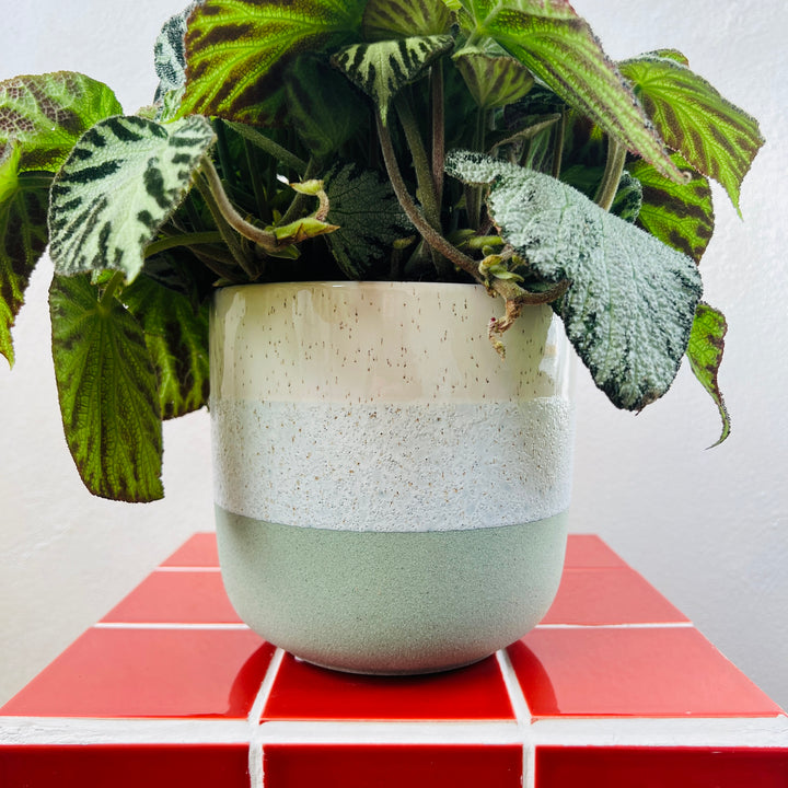 Bordeaux Ceramic Stoneware Pot