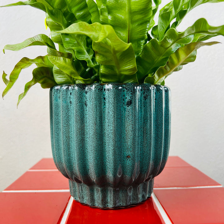 Barcelos Ceramic Pot