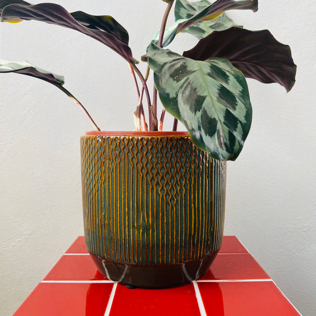 Adelaide Ceramic Pot