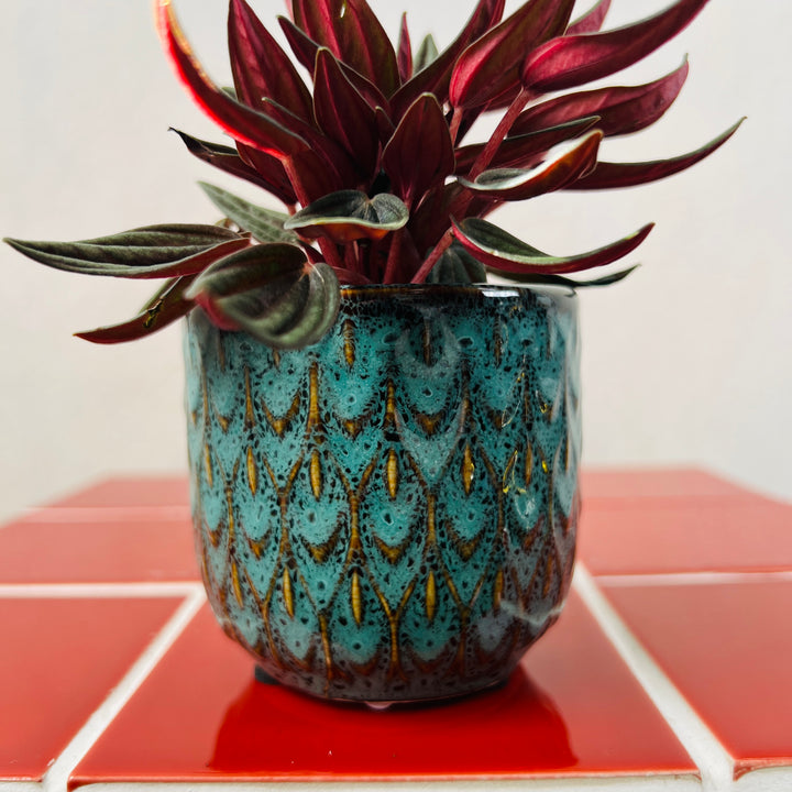 Nazare Ceramic Pot