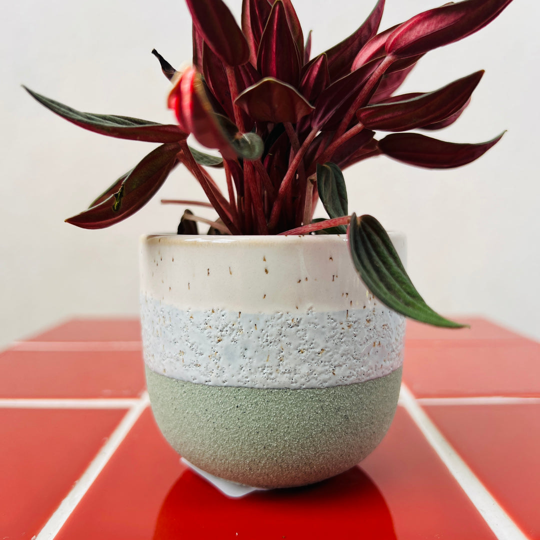 Bordeaux Ceramic Stoneware Pot