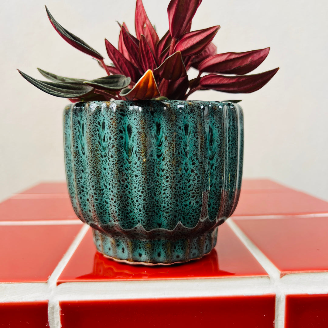 Barcelos Ceramic Pot