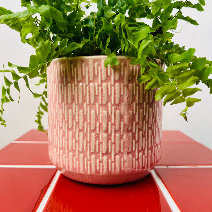 Godford Textured Ceramic Pot