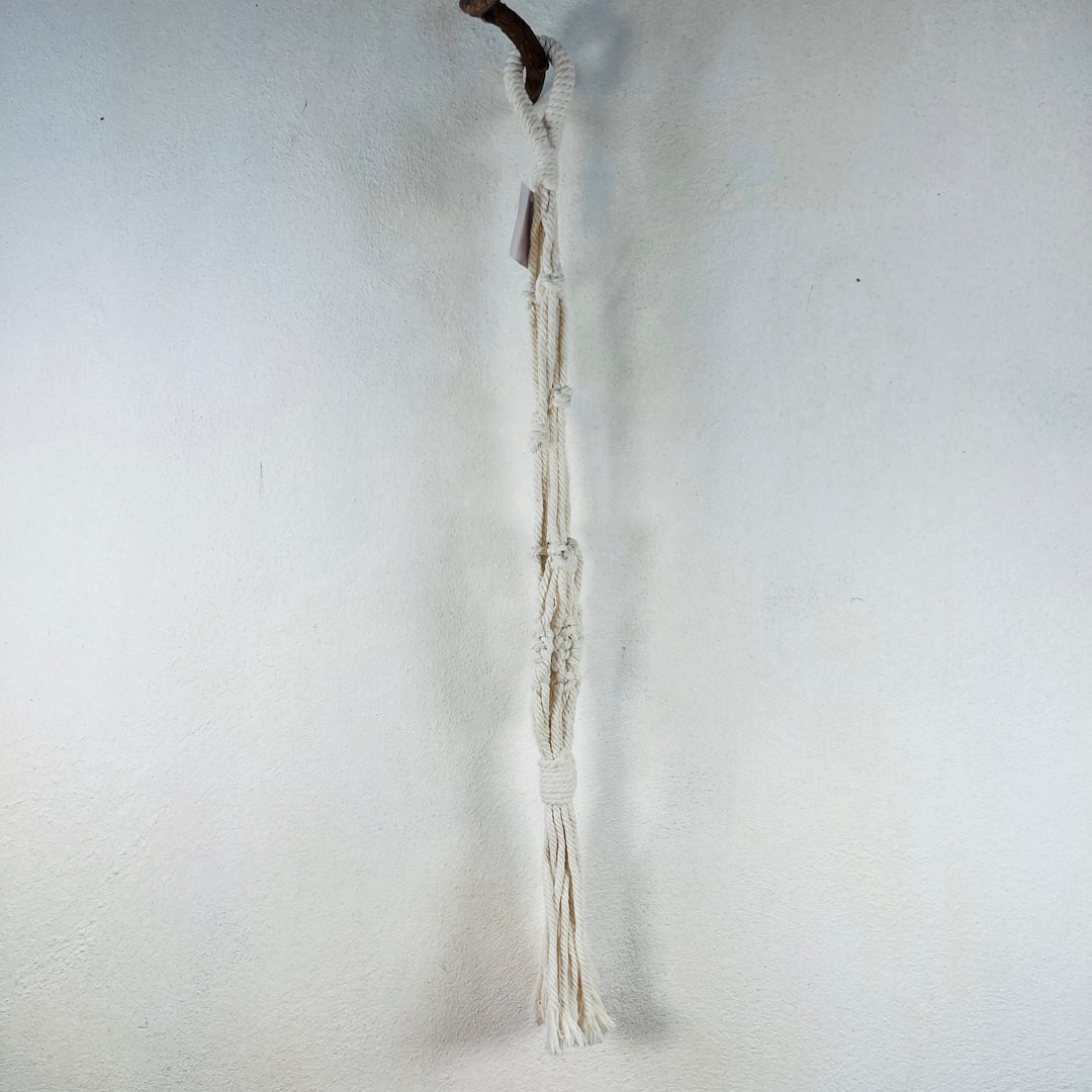 White Macrame plant hangar