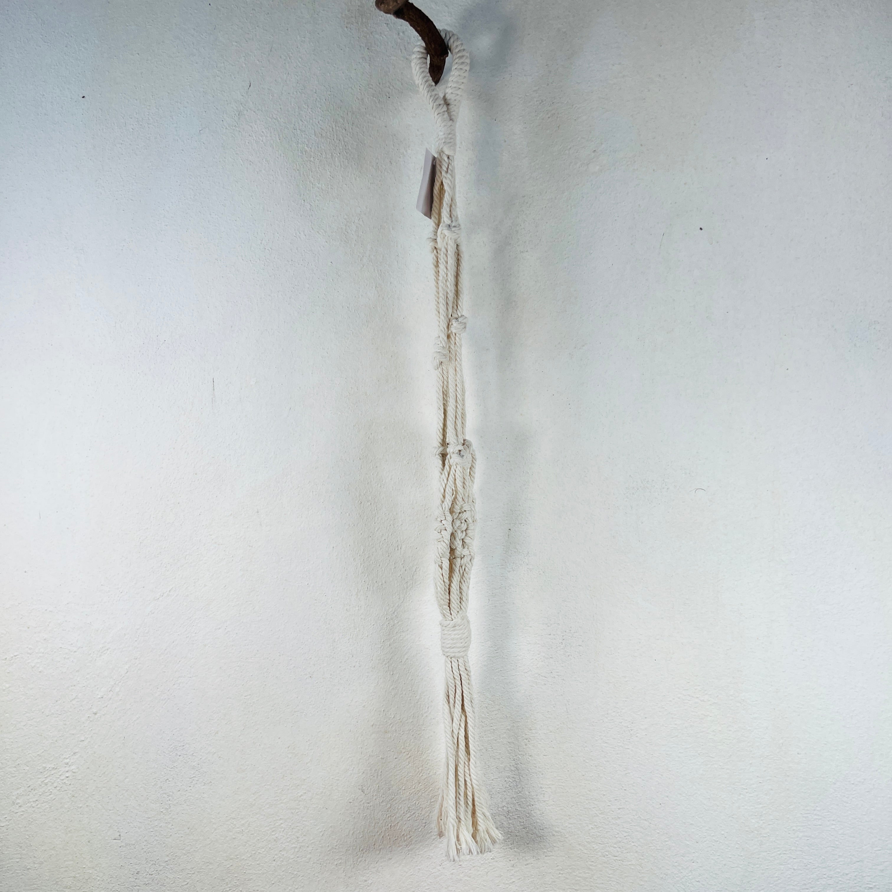 Gifts for Plant Lovers