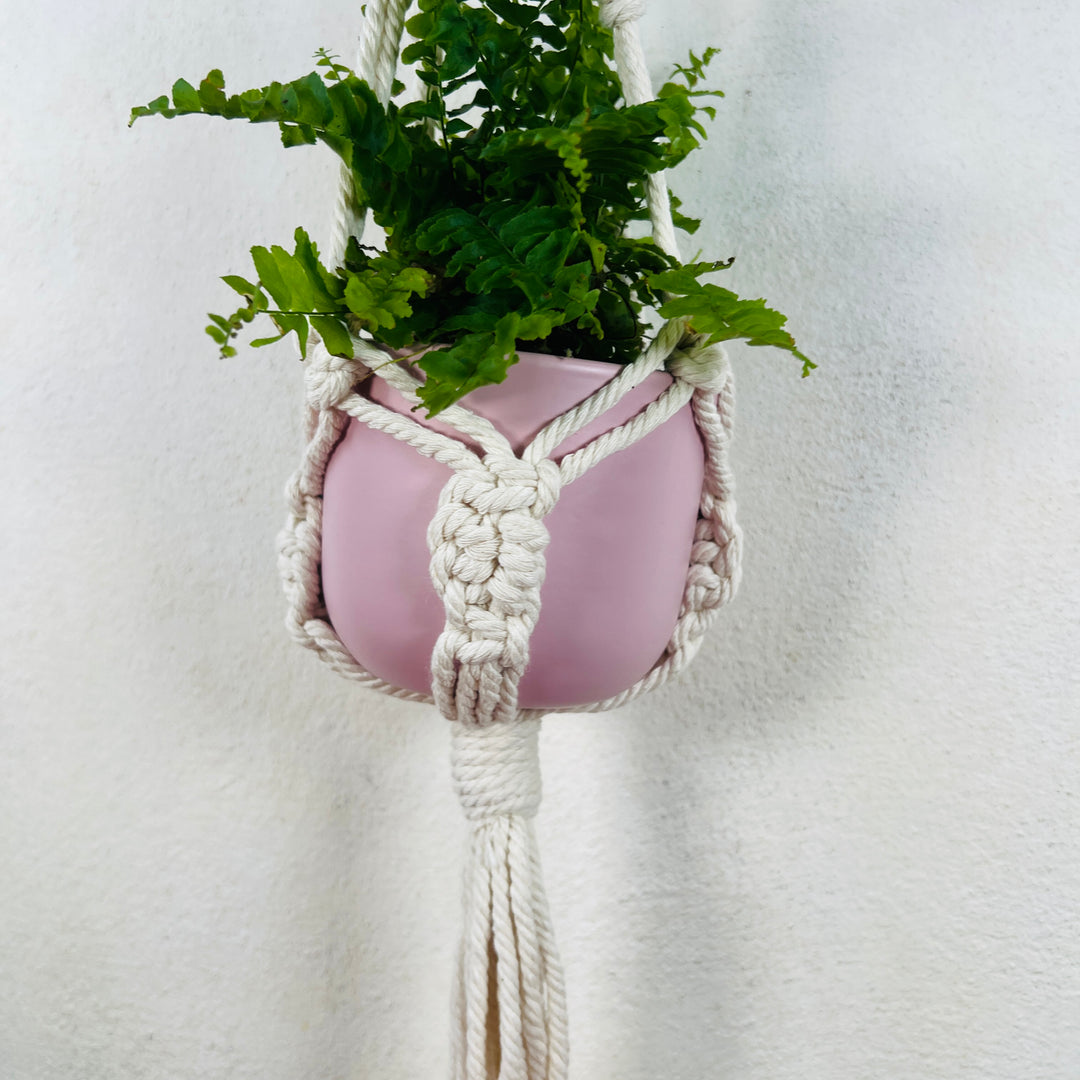 White Macrame plant hangar