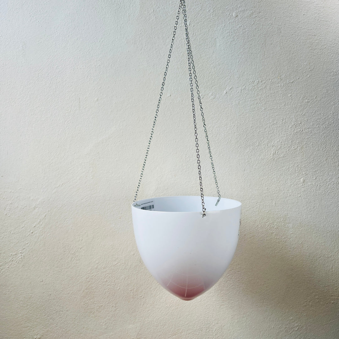 Black or White Hanging Planter with Chain — 18cm