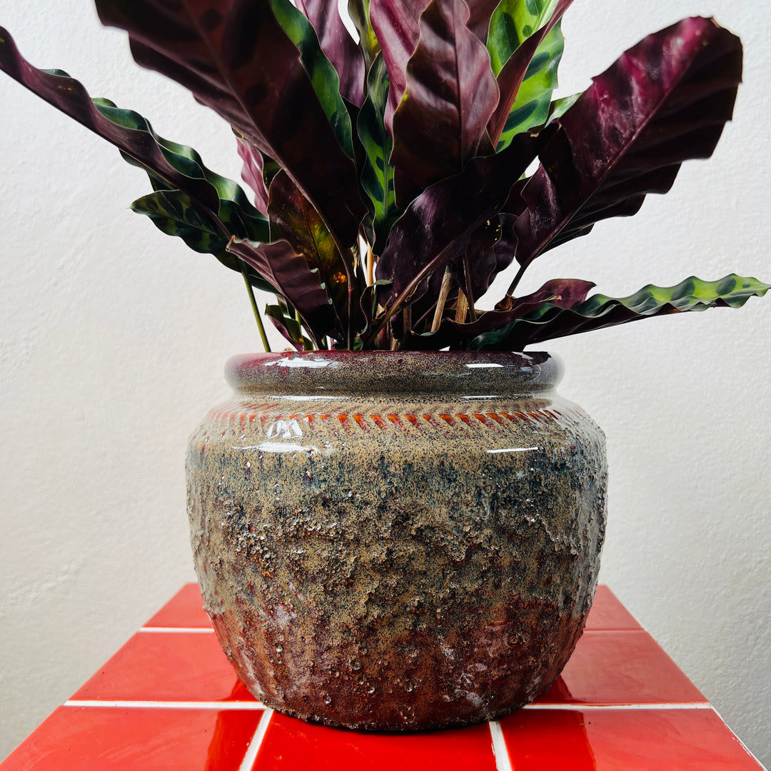 Area ‘Cognac’ Ceramic Plant Pot — 21cm