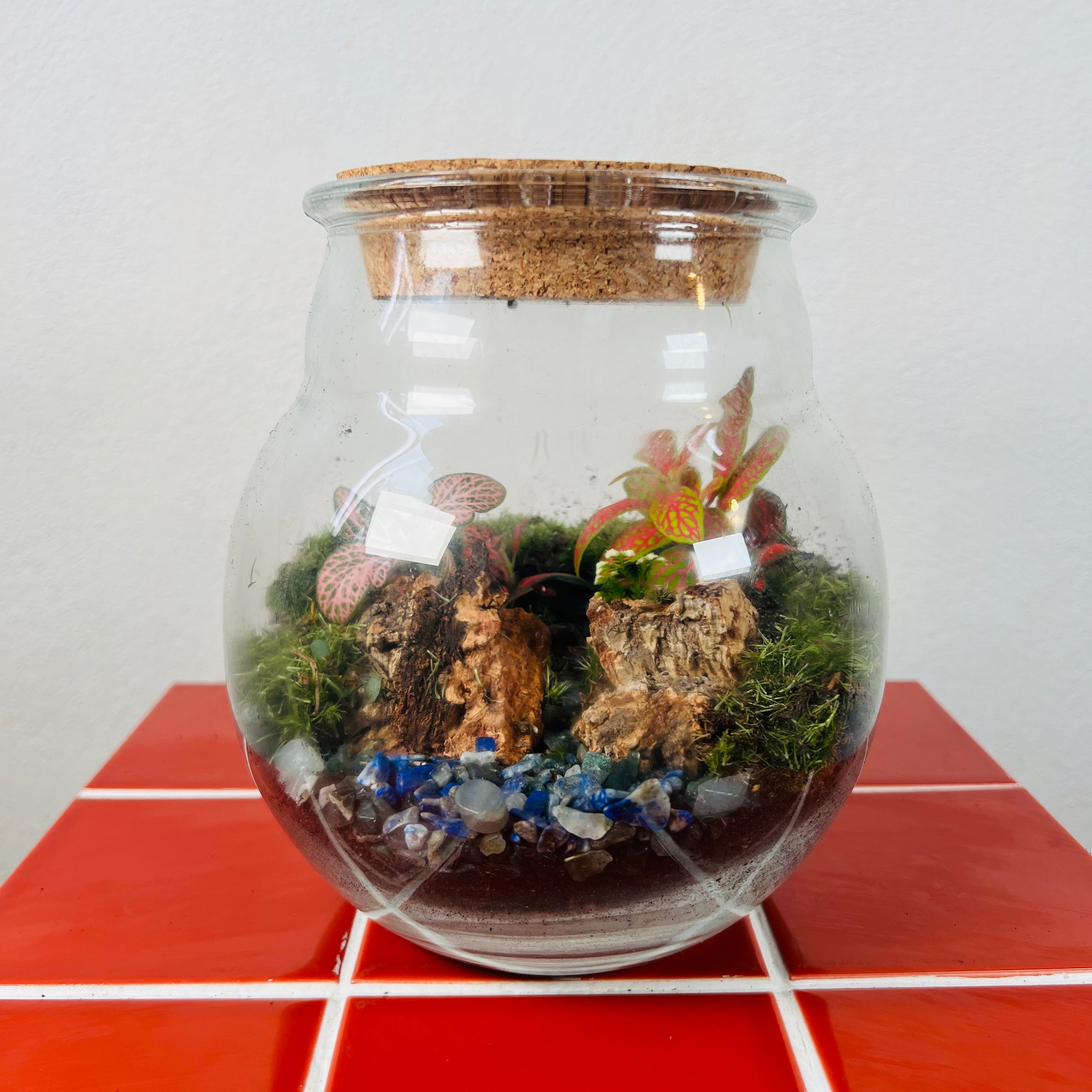 Gifts for Plant Lovers