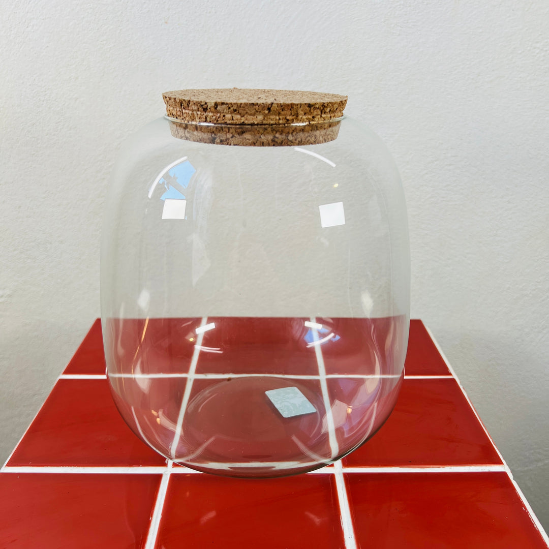 Plant.studio Glass Terrarium Eco Nana D10/19*20cm