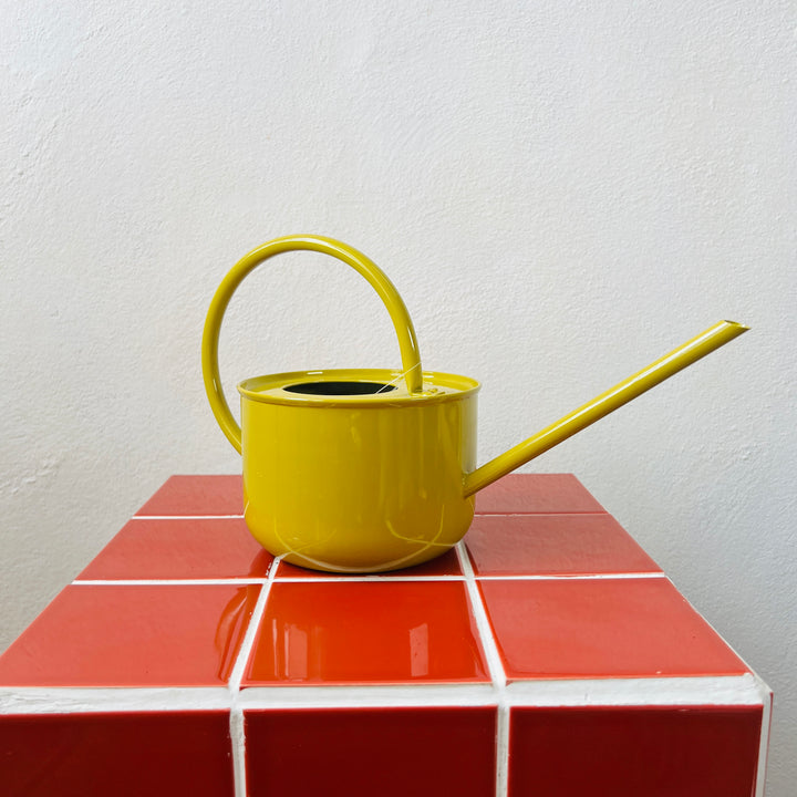 Zinc Watering Can