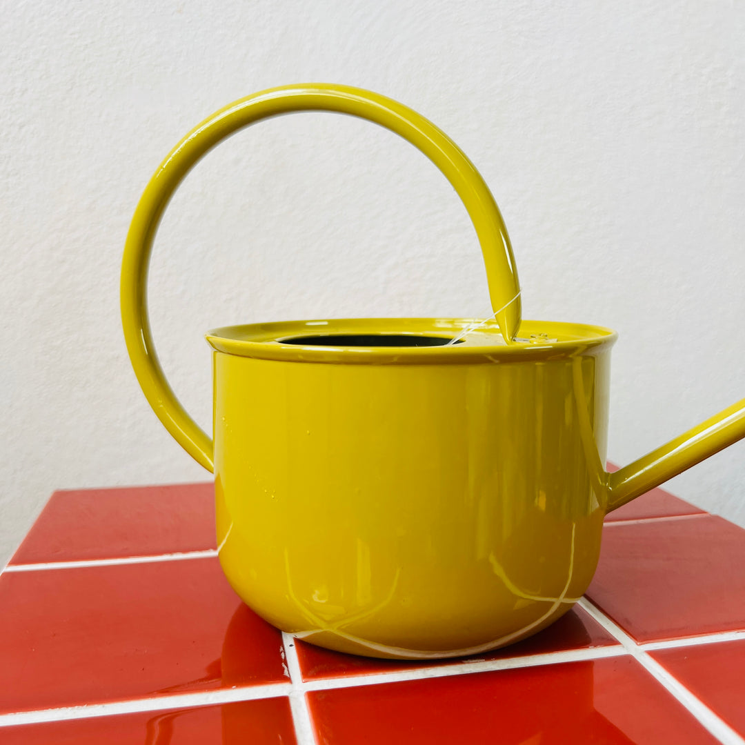Zinc Watering Can