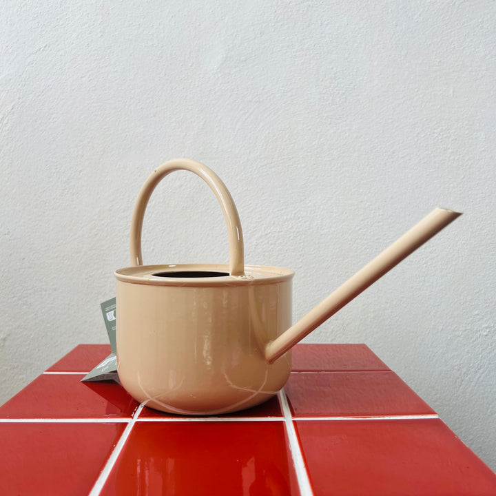 Zinc Watering Can