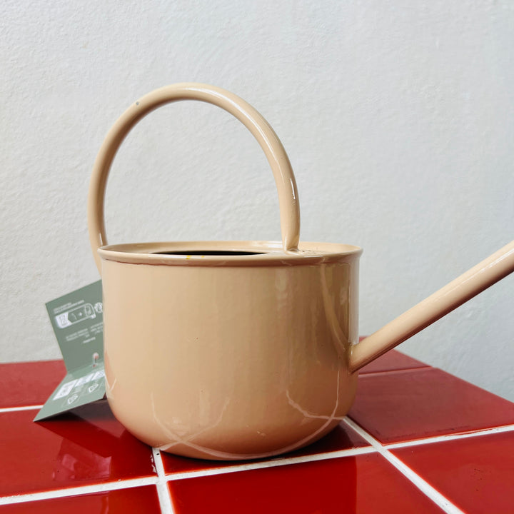 Zinc Watering Can