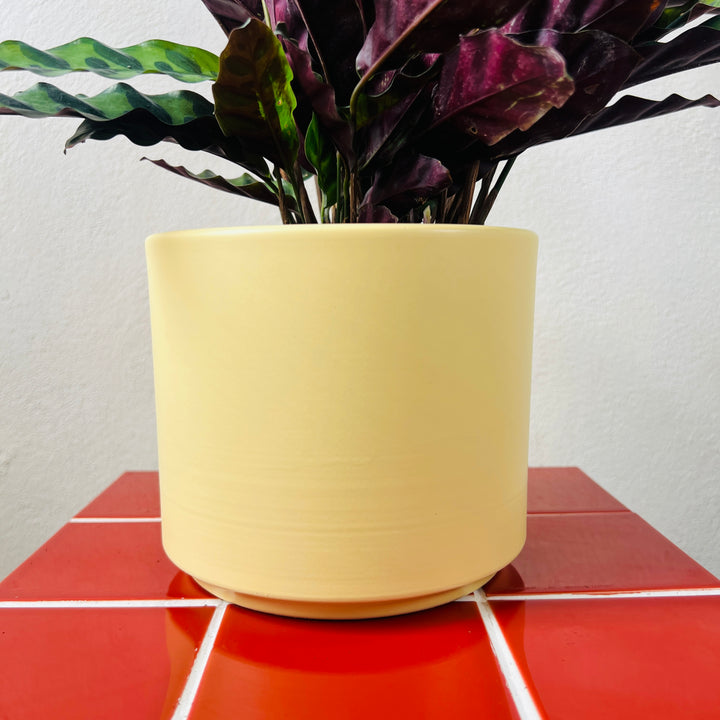 Noor Ceramic Plant Pot