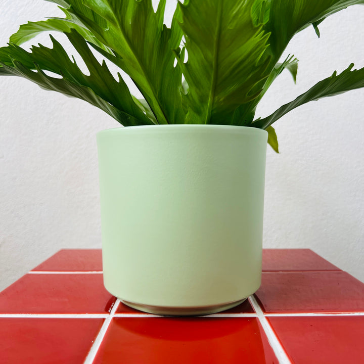 Noor Ceramic Plant Pot