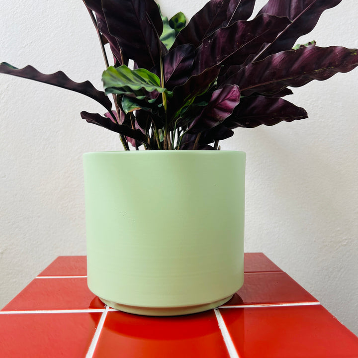 Noor Ceramic Plant Pot