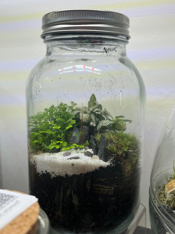 Light up jar Plant Studio Terrarium