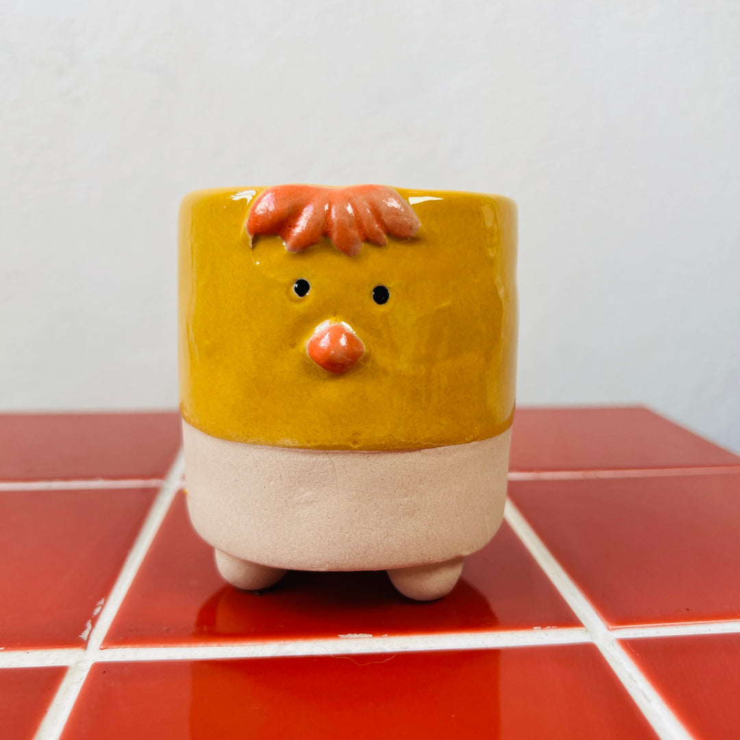 Yellow Chick pot