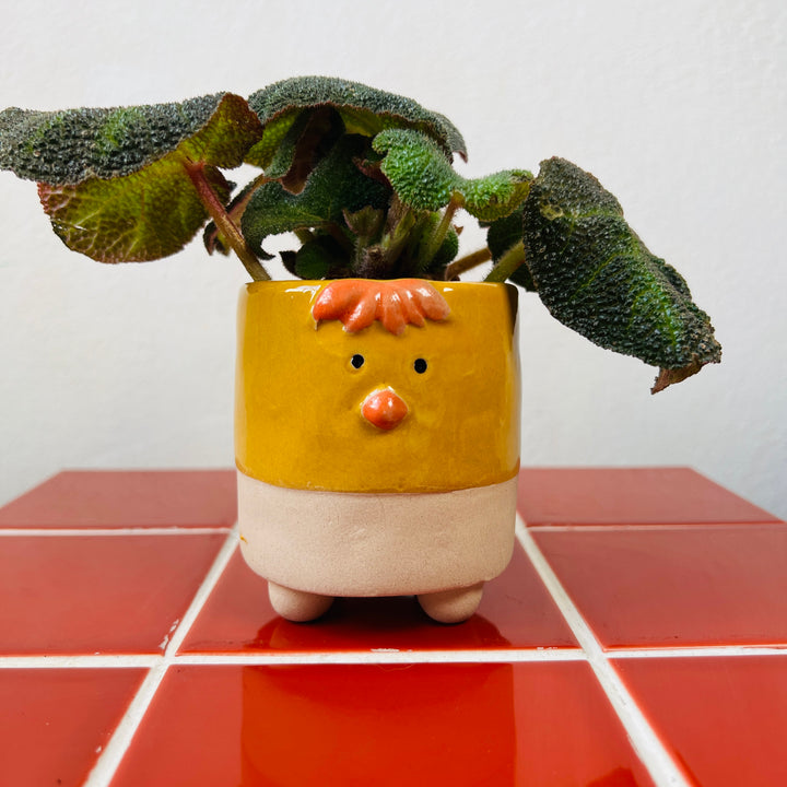 Yellow Chick pot