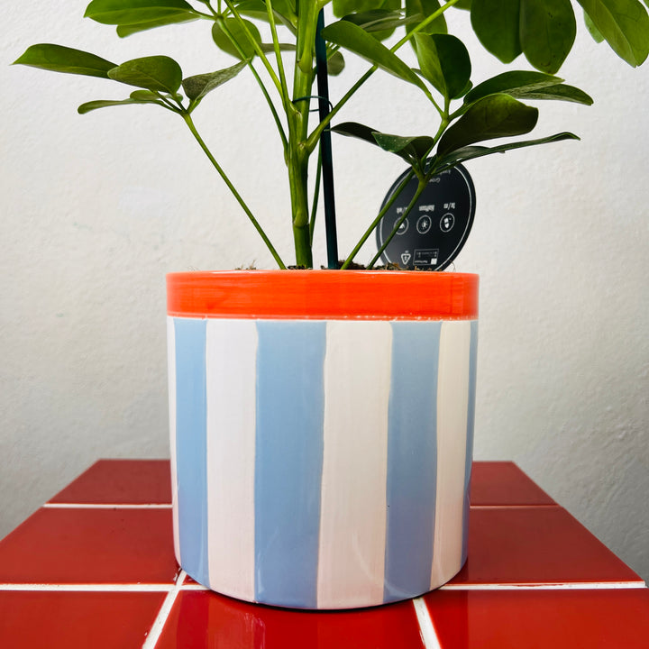 Striped Ceramic Planter 14.3cm – Blue or Pink