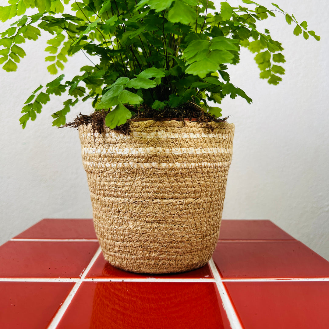 Rope Basket