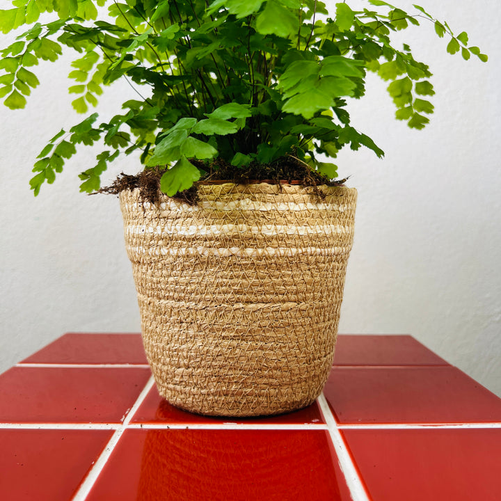 Rope Basket