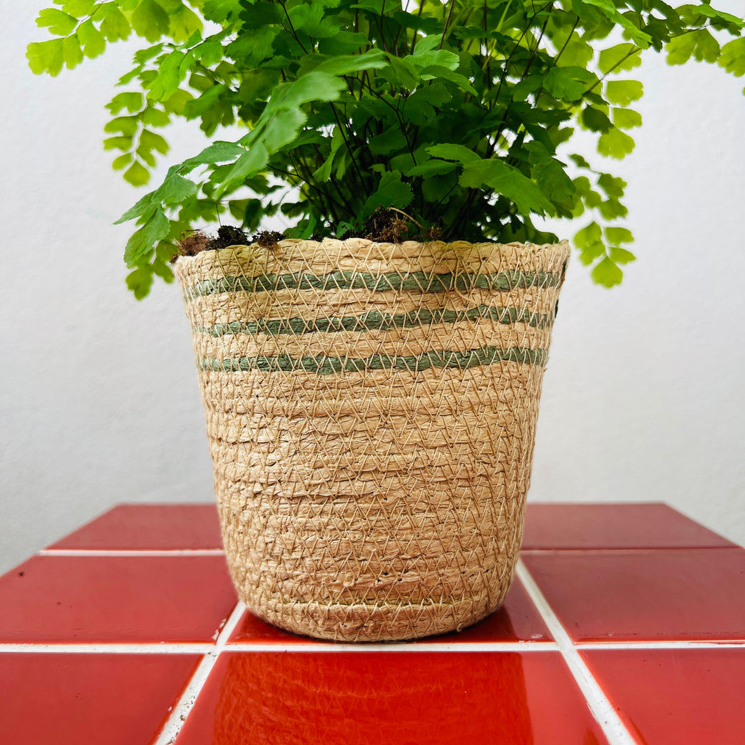 Rope Basket