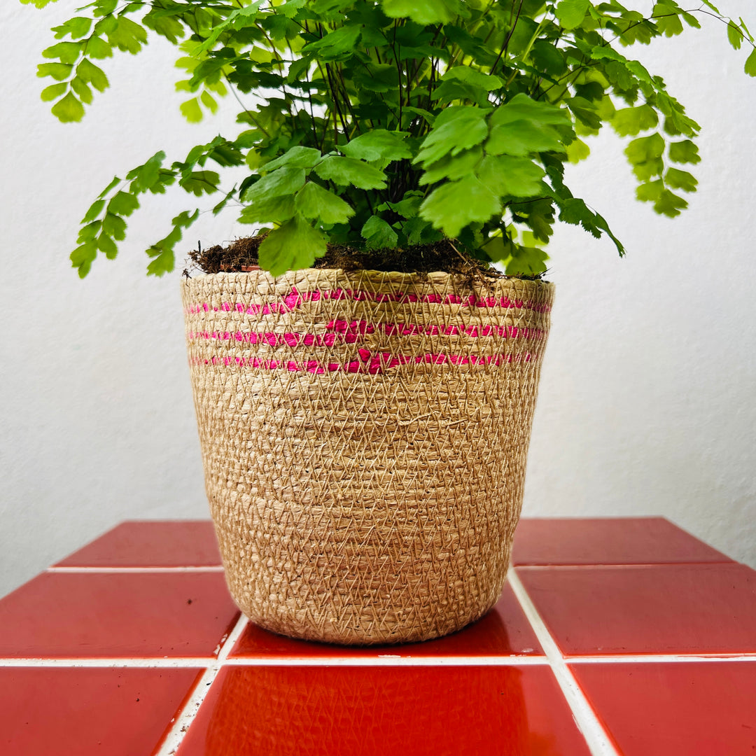 Rope Basket