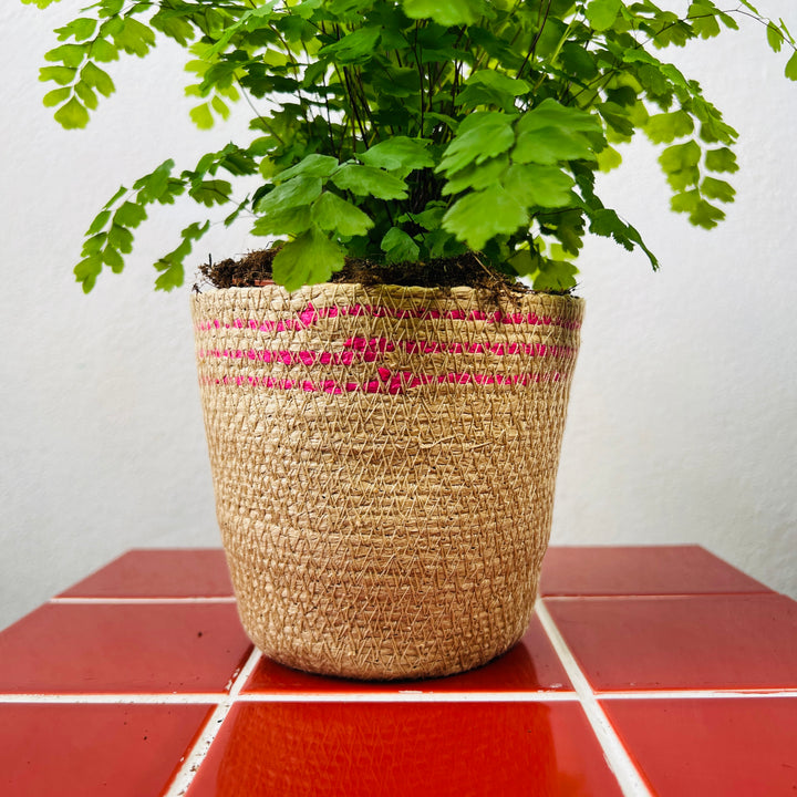 Rope Basket