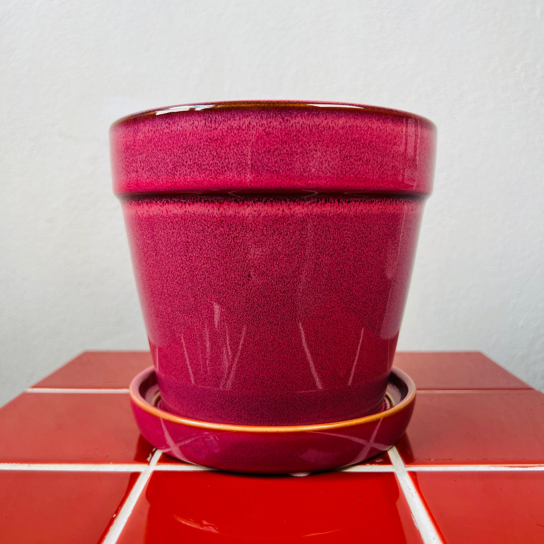 Clint With Saucer pot - pink or white