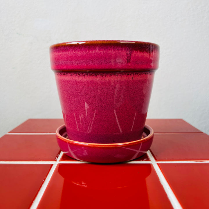 Clint With Saucer pot - pink or white