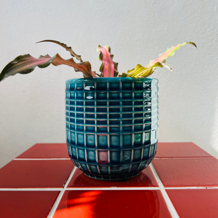 Braga Ceramic Pot