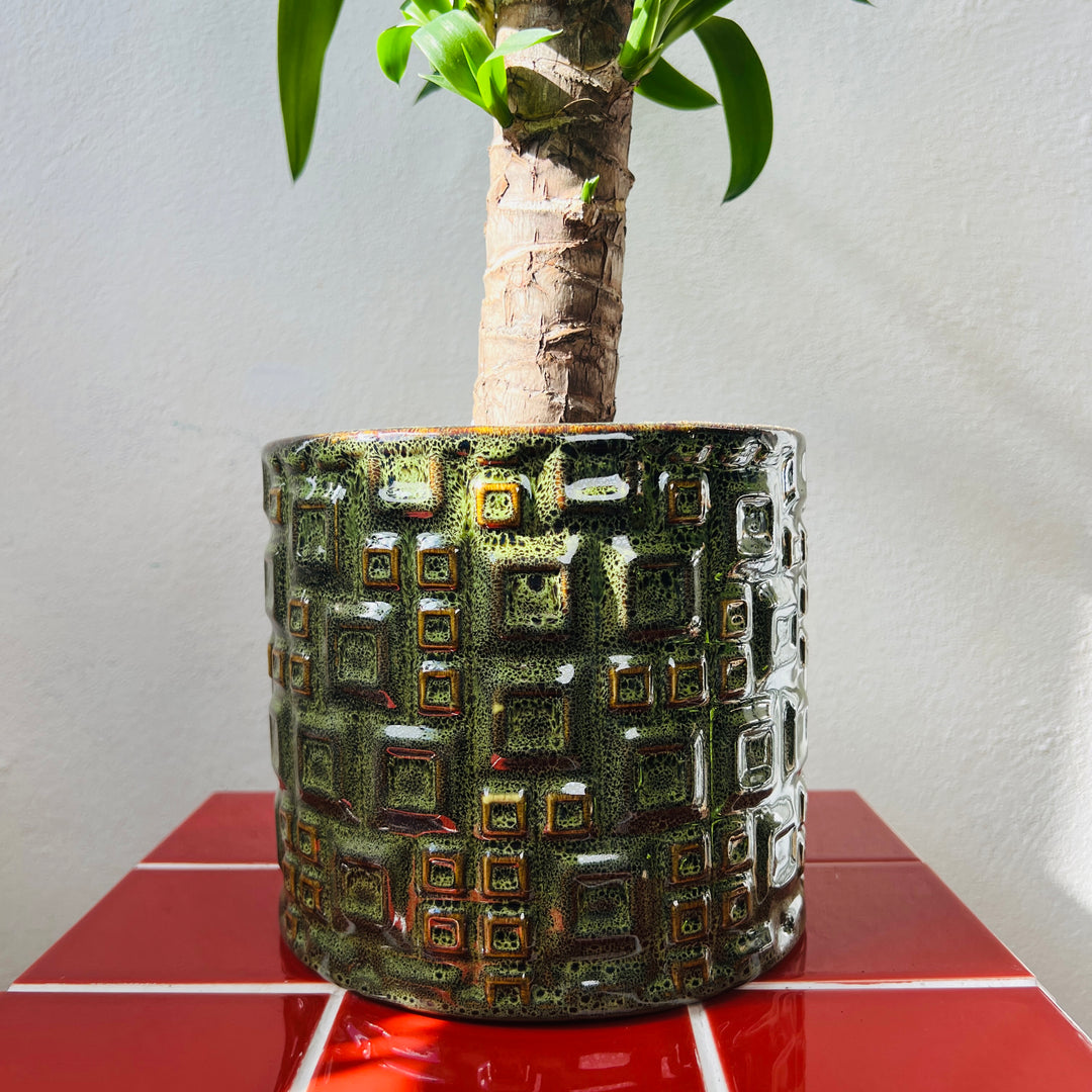 Evora Green Textured Ceramic Plant Pot | Indoor Planter