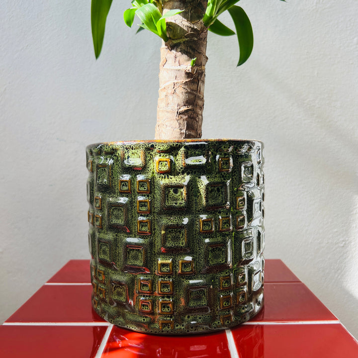 Evora Green Textured Ceramic Plant Pot | Indoor Planter