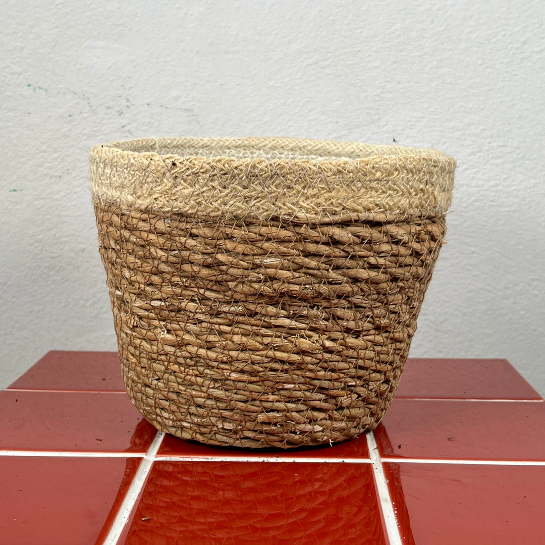 Natural Seagrass Plant Basket – 17cm