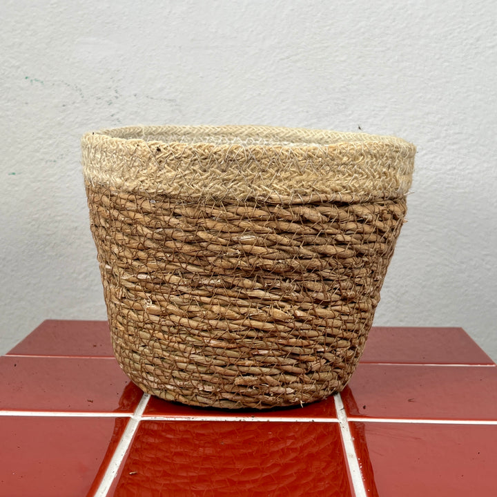 Natural Seagrass Plant Basket – 17cm