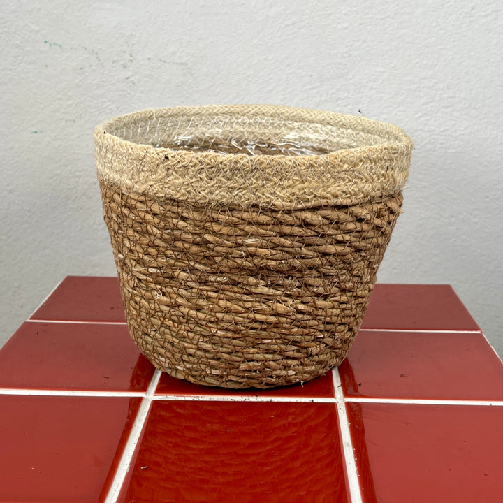 Natural Seagrass Plant Basket – 17cm