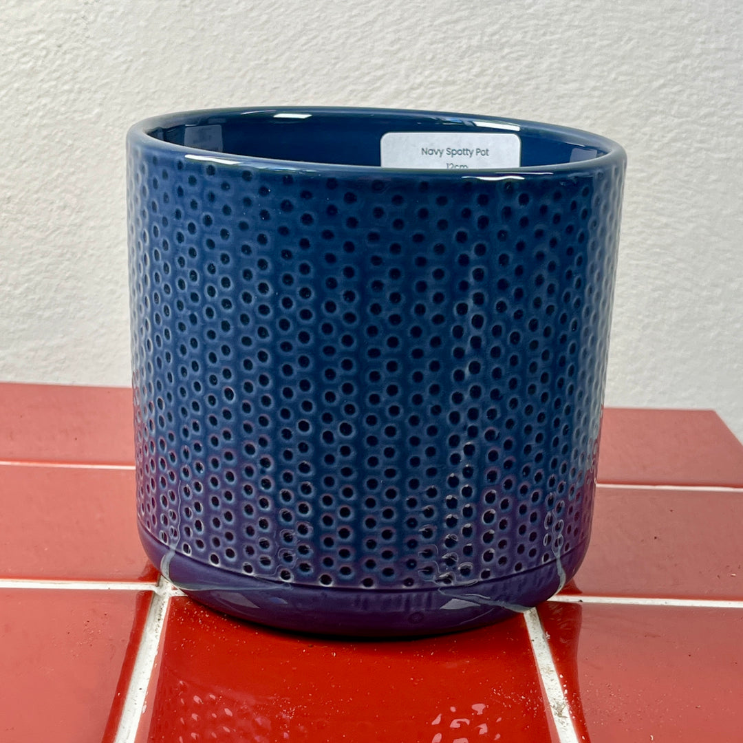 Navy Spotty Pot
