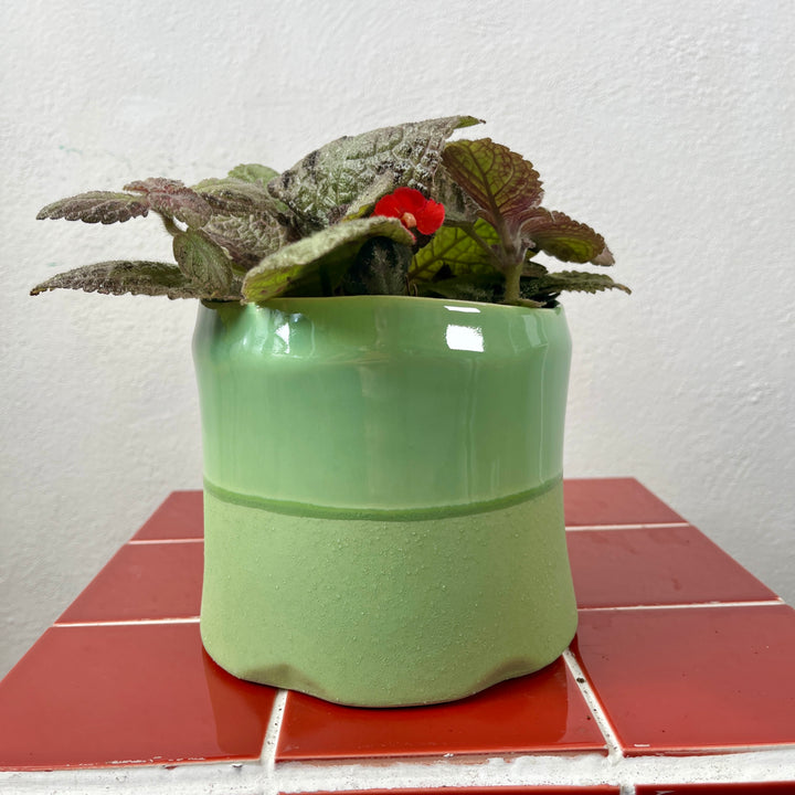 Wobble Pop Two-Tone Ceramic Pot – 12cm Lucky Dip