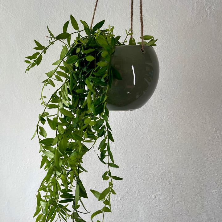 Moon Pod Hanging Ceramic Pot – 12cm Lucky Dip