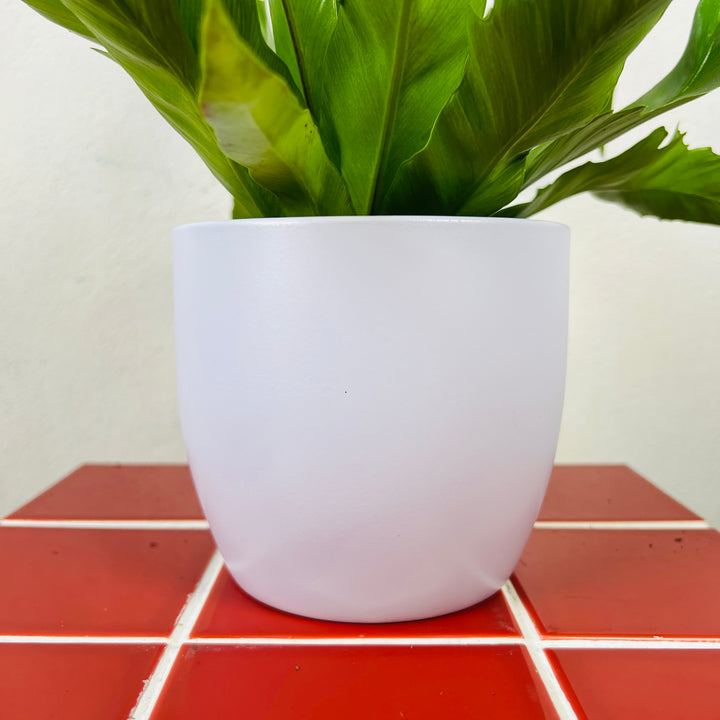 Matte Lilac Ceramic Plant Pot 13cm