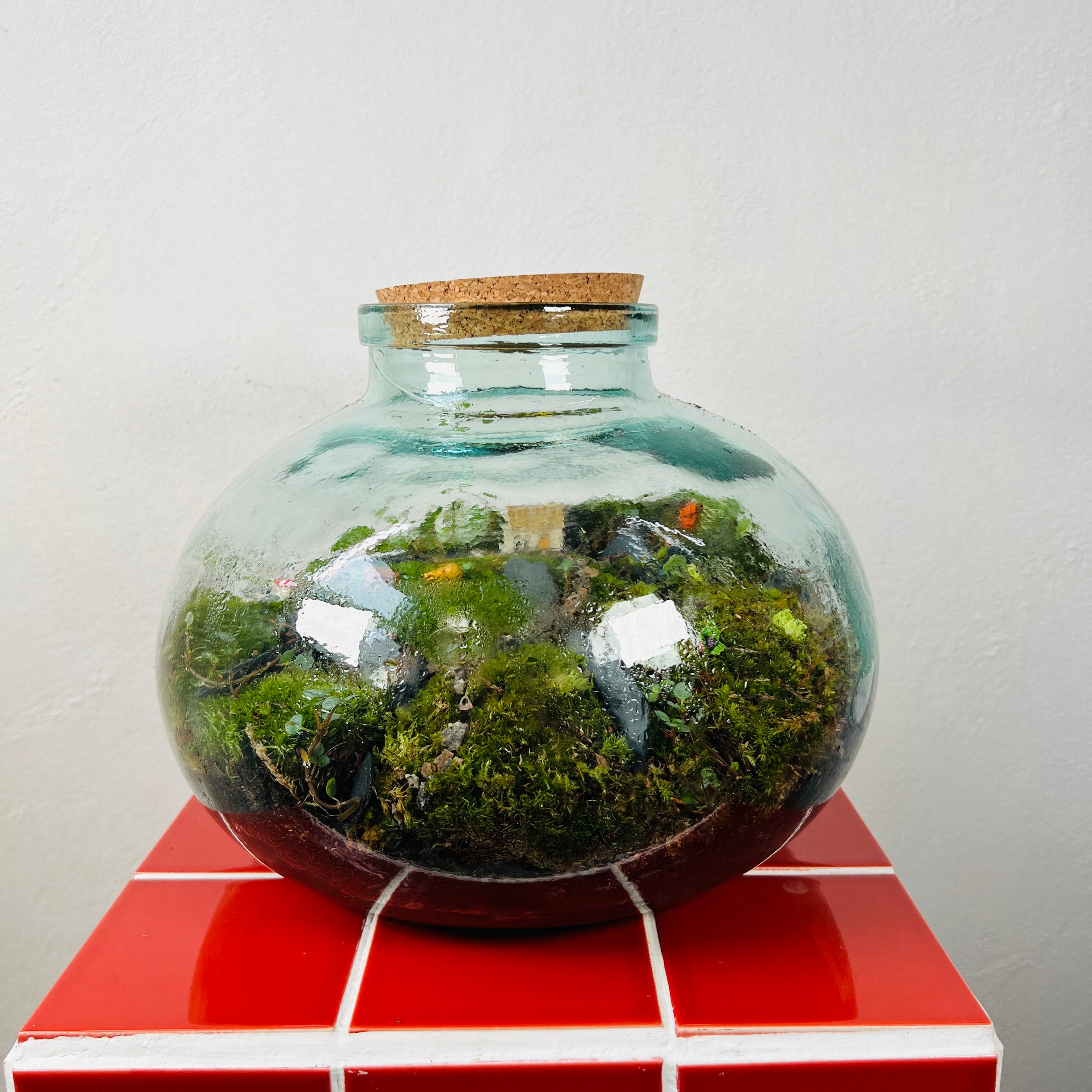 Gifts for Plant Lovers