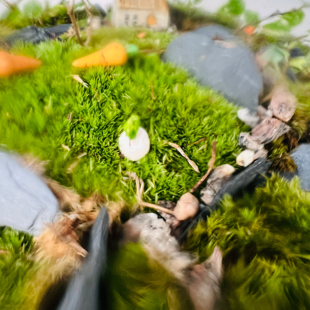 Plant.Studio 'Farmyard' Terrarium